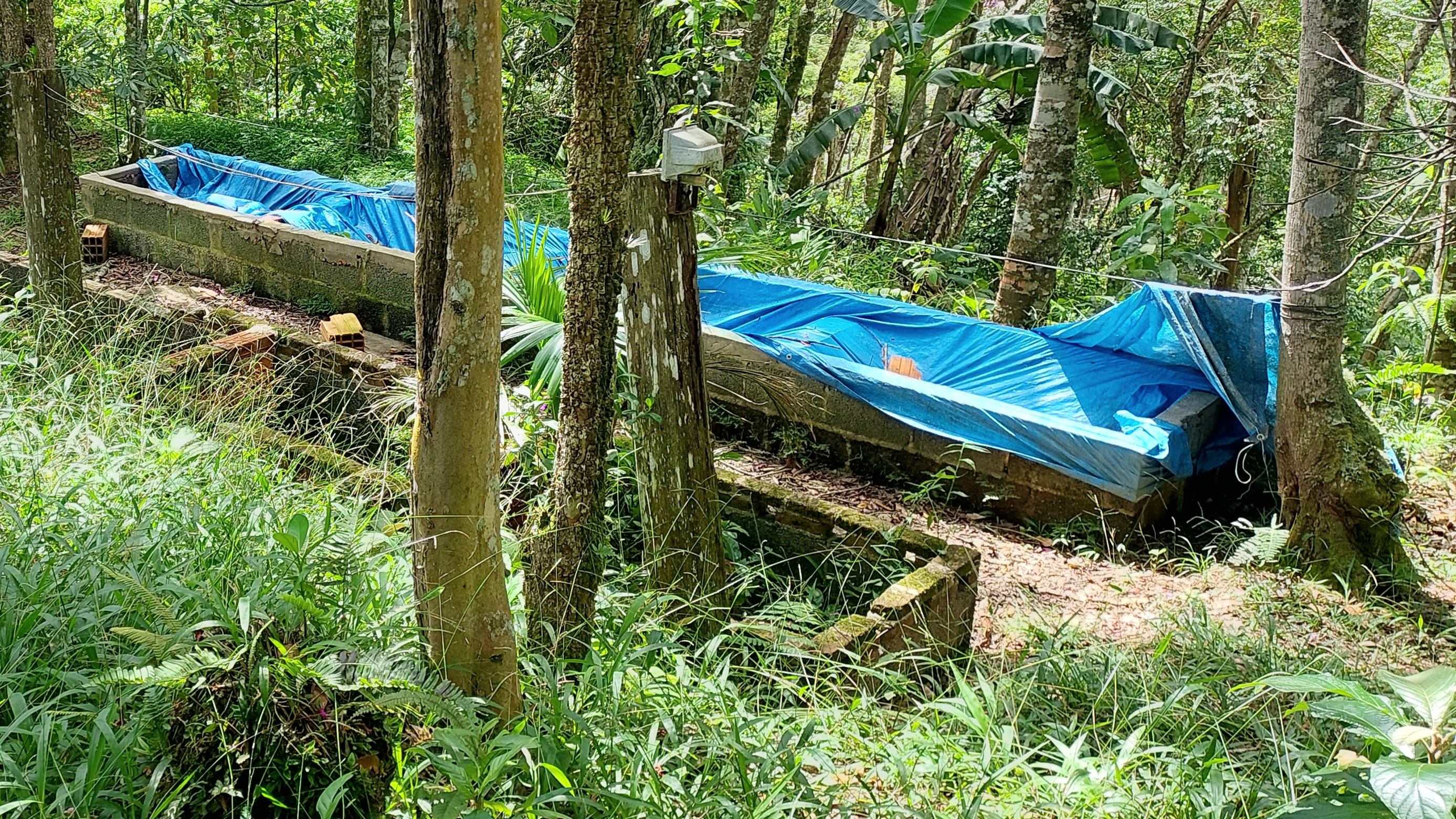 Compostagem CEPA