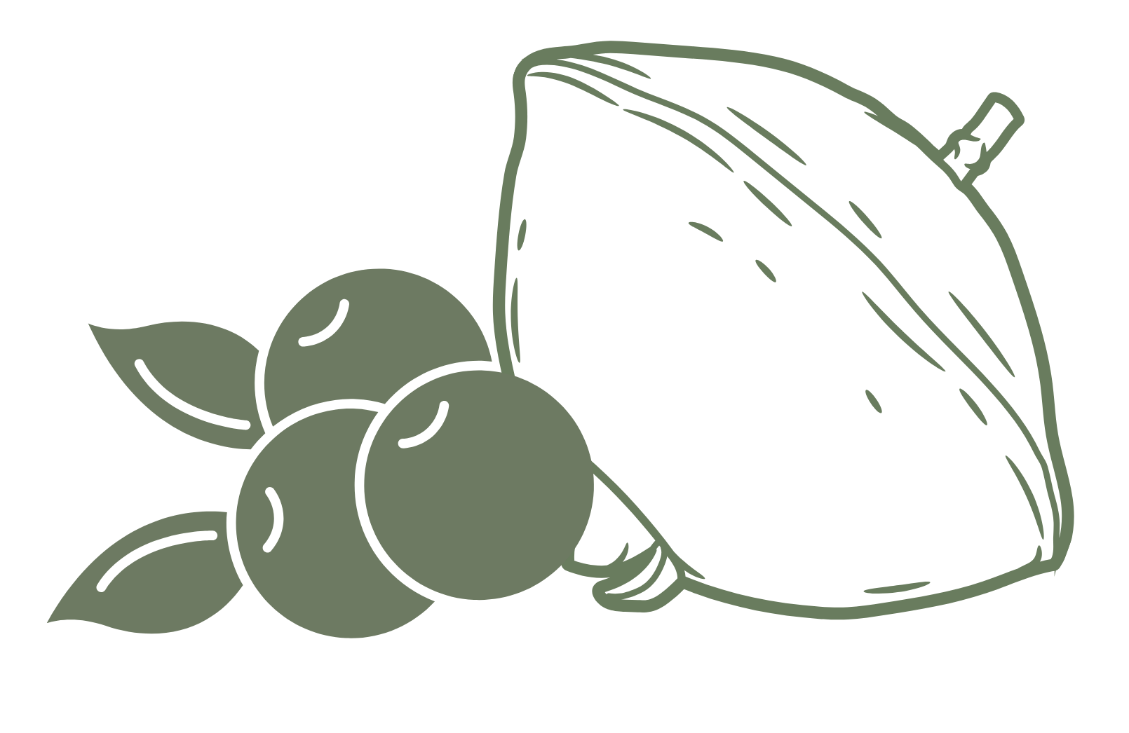 Frutas Nativas