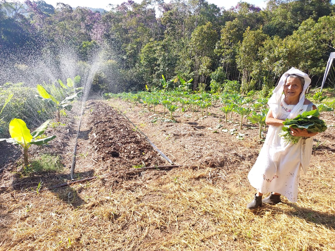 Sistema Agroflorestal CEPA